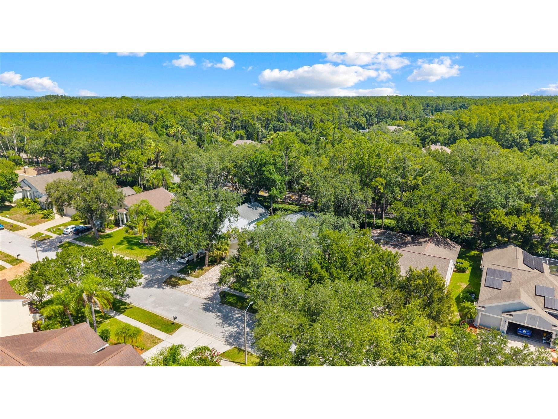 4287 Tremblay Way Palm Harbor FL 34685 - TARPON LAKE TB8513729 image45
