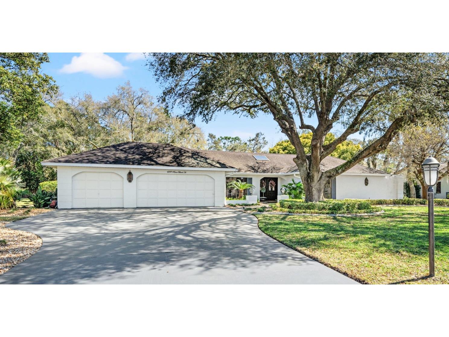 4288 River Birch Drive Spring Hill FL 34607 W7861977 image1