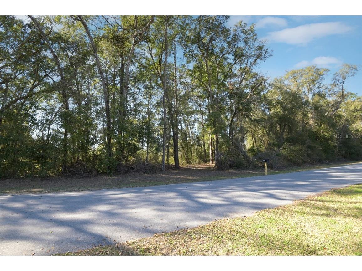 4288 S Frost Point Inverness FL 34452 W7851687 image1