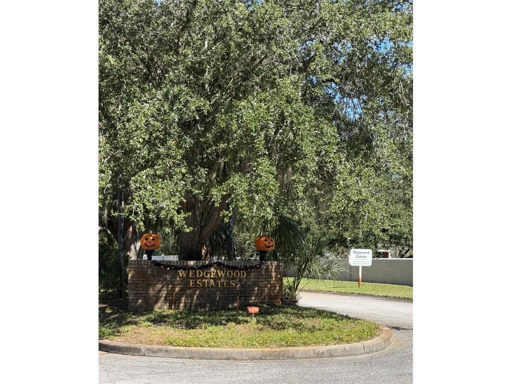 4289 Lordings Lane Spring Hill FL 34607 S5136991 image3