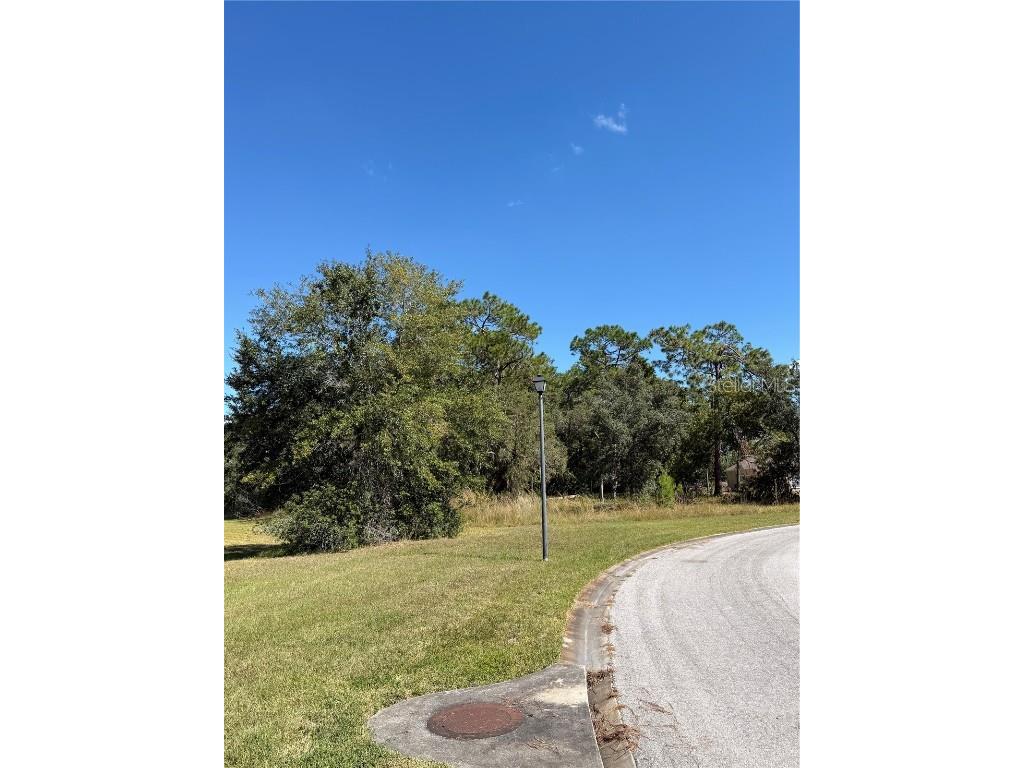 4289 Lordings Lane Spring Hill FL 34607 S5136991 image4