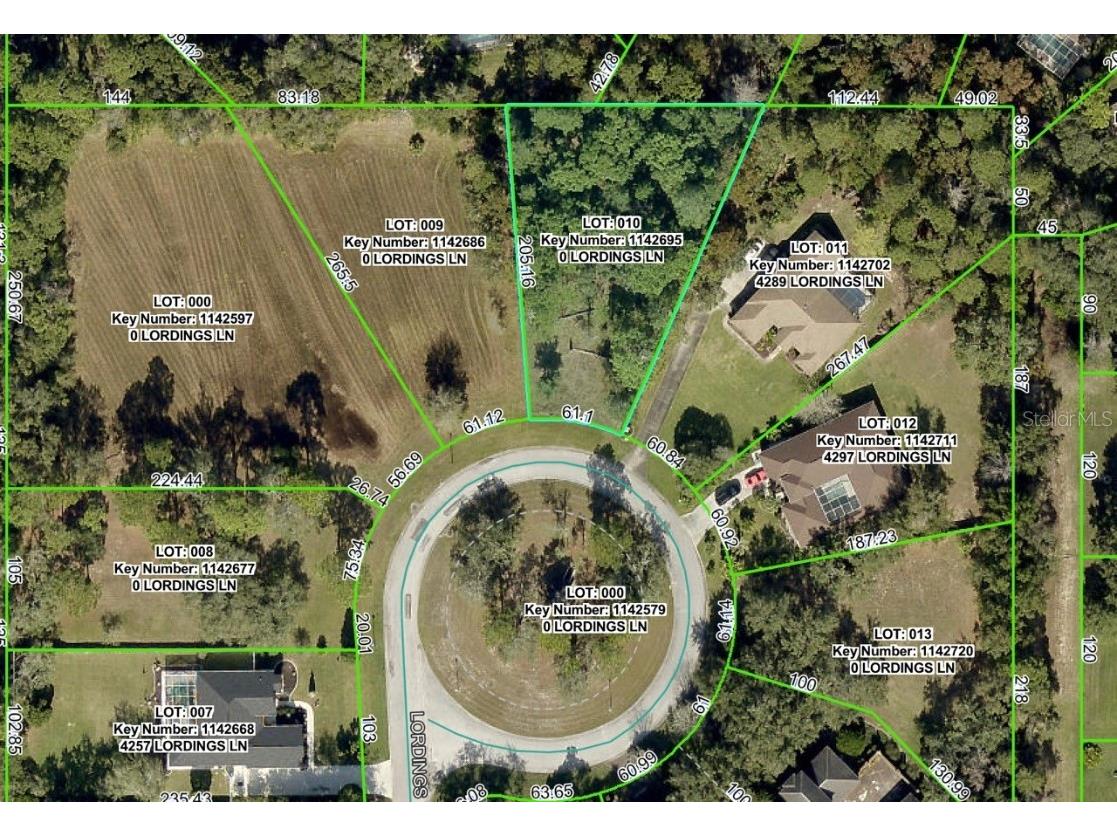 4289 Lordings Lane Spring Hill FL 34607 S5136991 image6