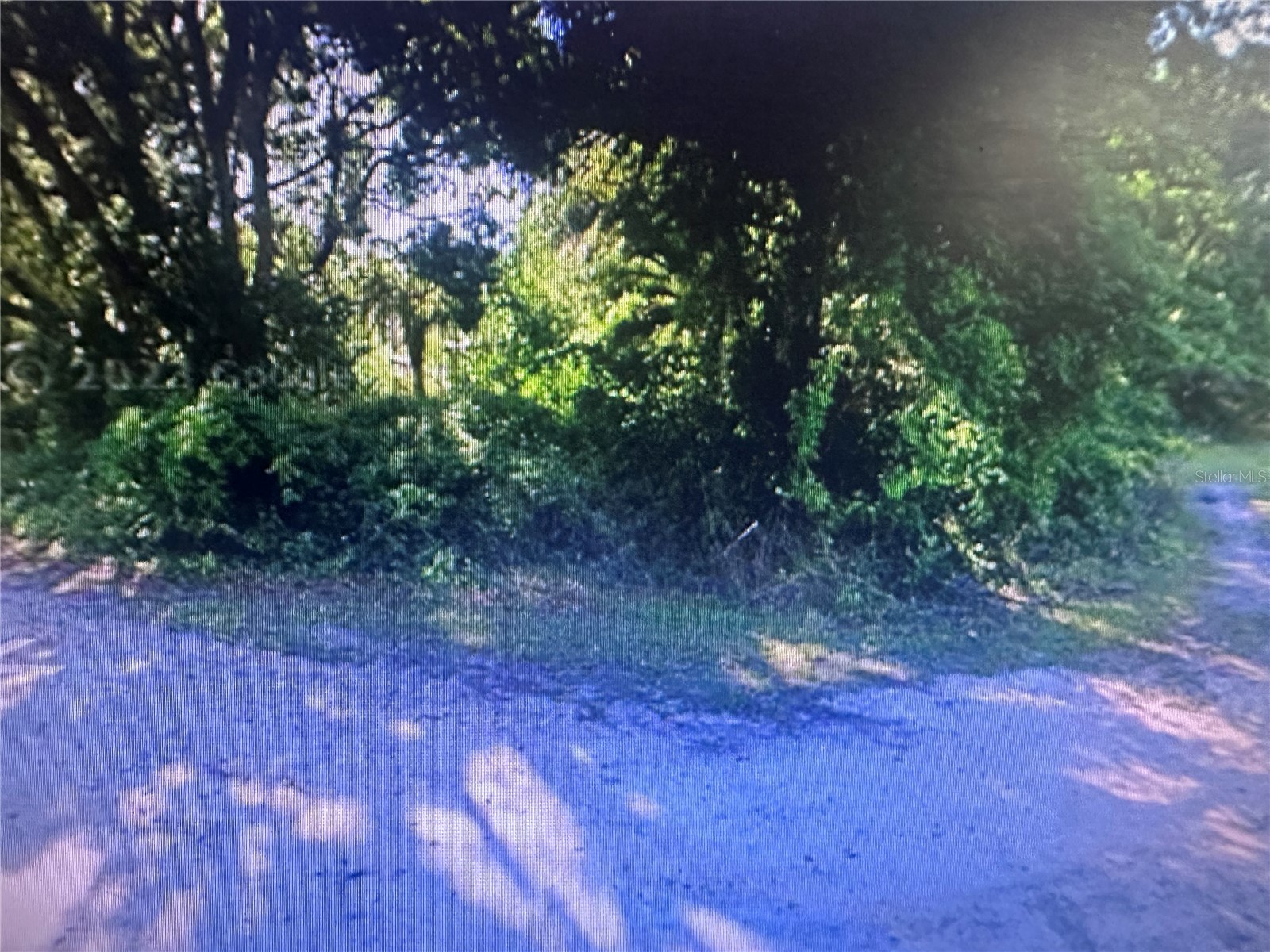 4289 SE 20th Street Trenton FL 32693 TB8485192 image1