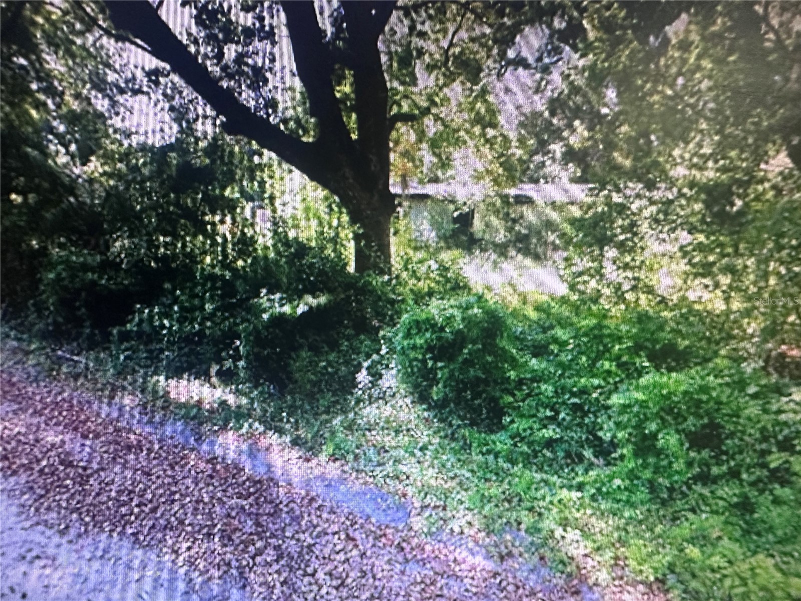 4289 SE 20th Street Trenton FL 32693 TB8485192 image2