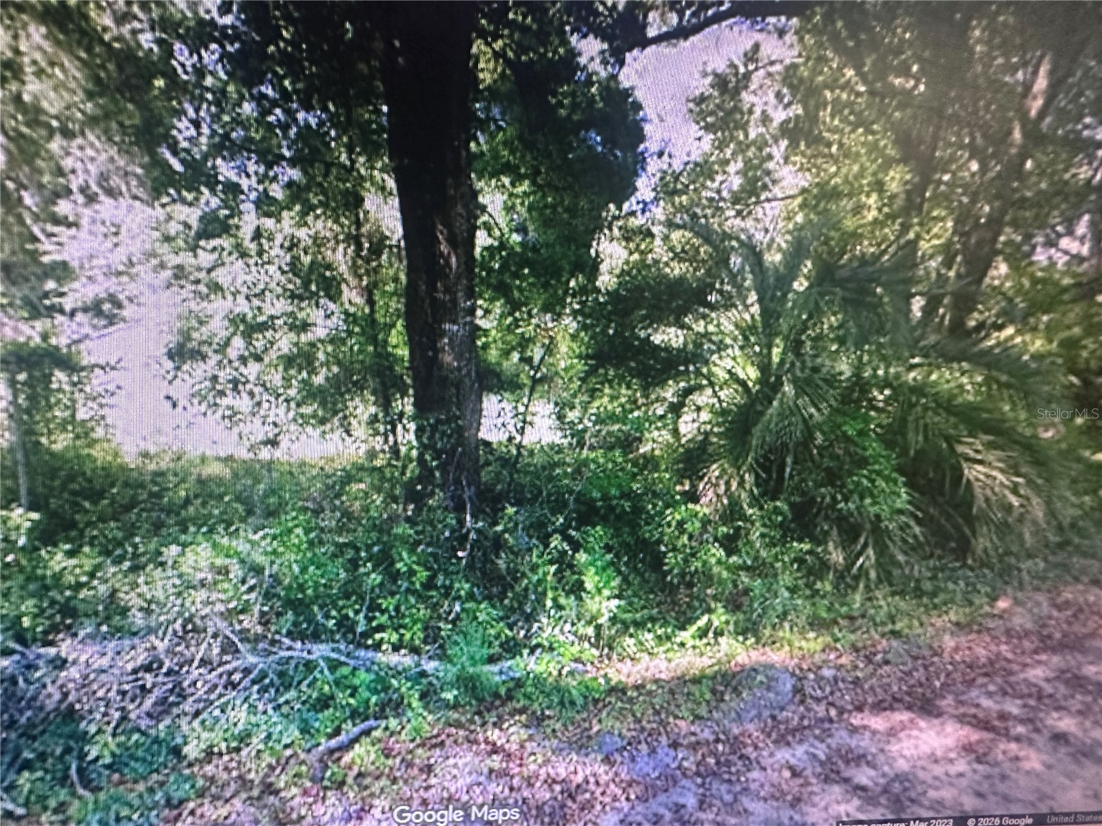 4289 SE 20th Street Trenton FL 32693 TB8485192 image3