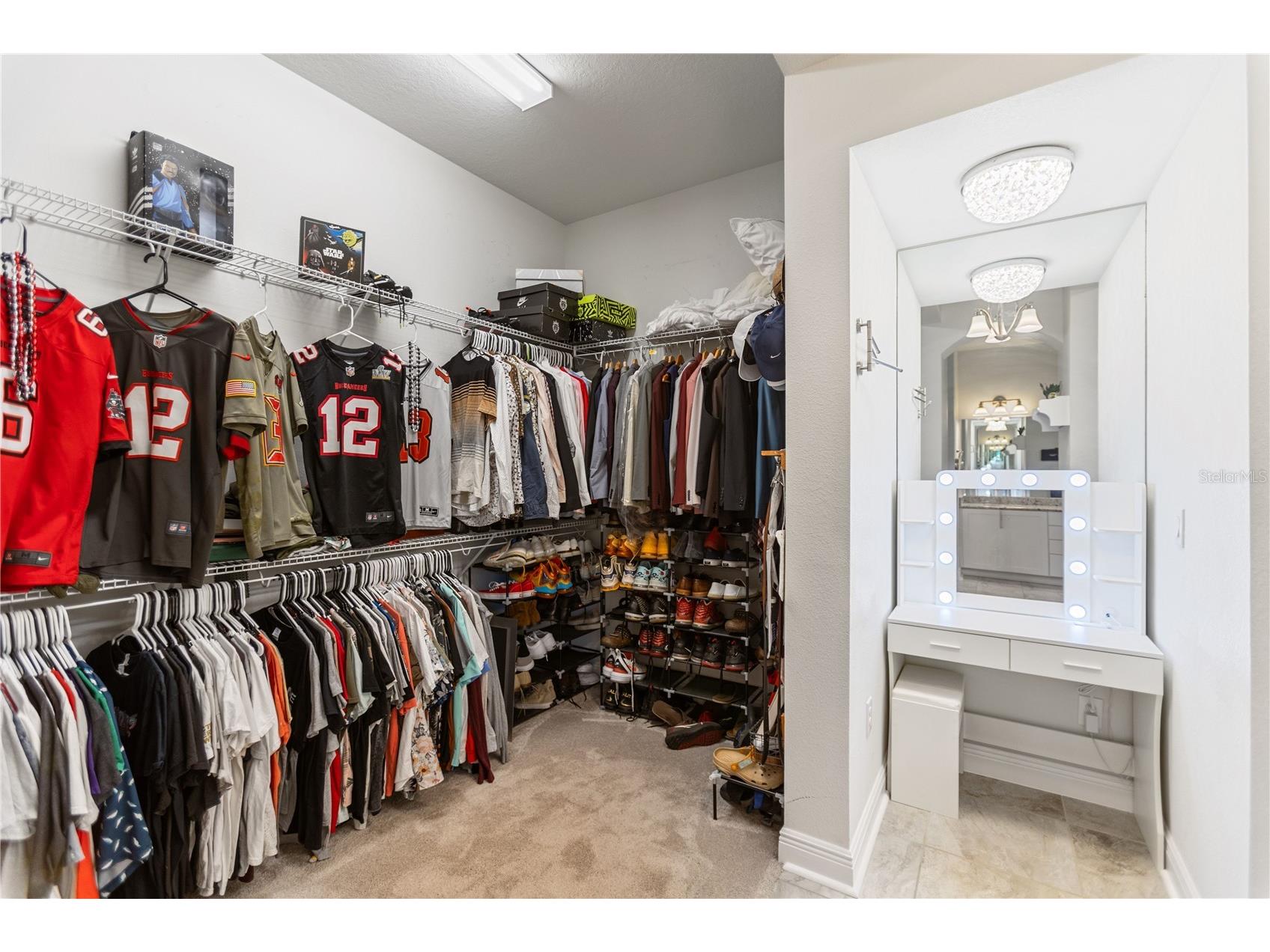 4289 Tour Trace Land O Lakes FL 34638 TB8469522 image26