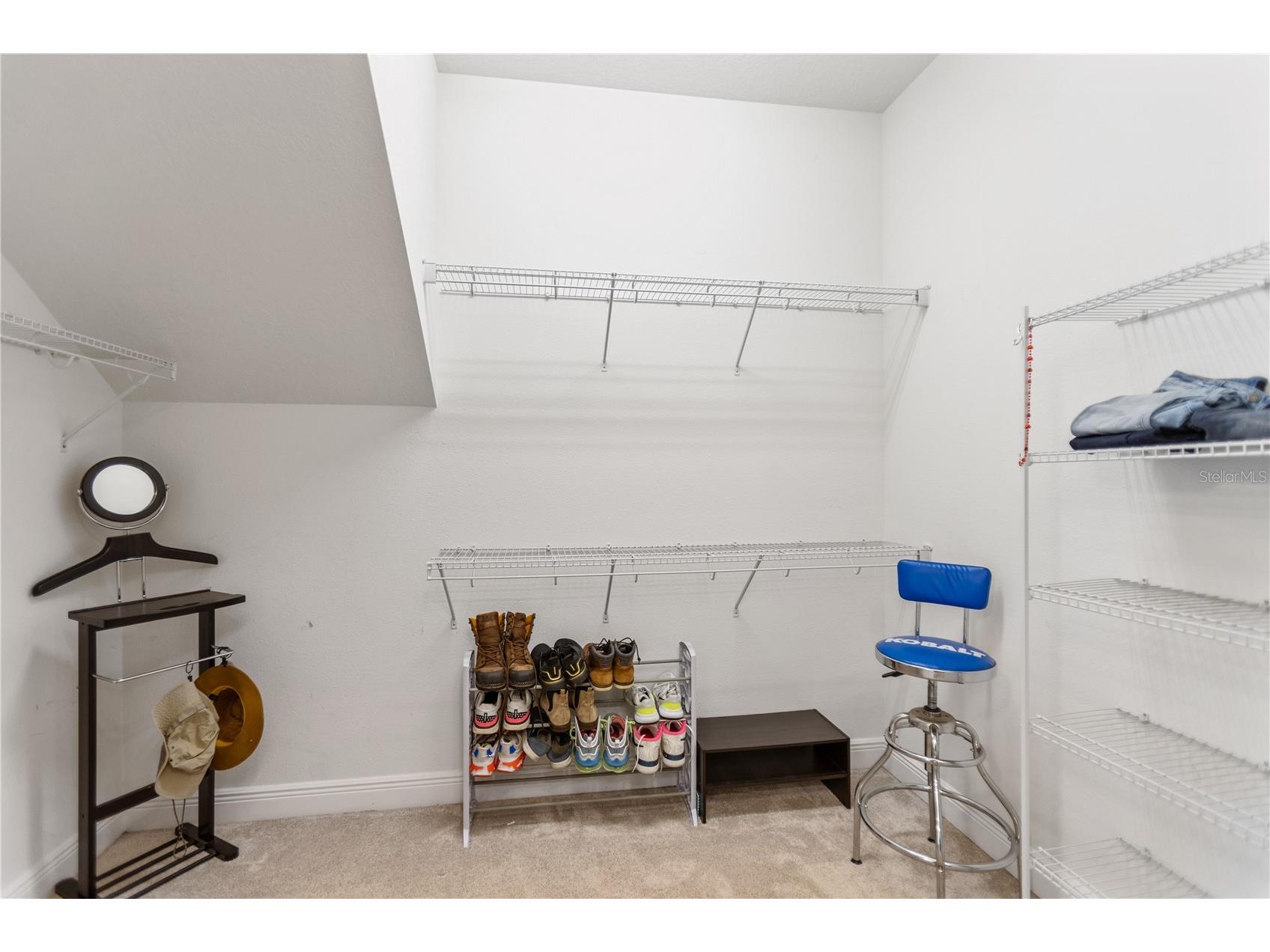 4289 Tour Trace Land O Lakes FL 34638 TB8469522 image27