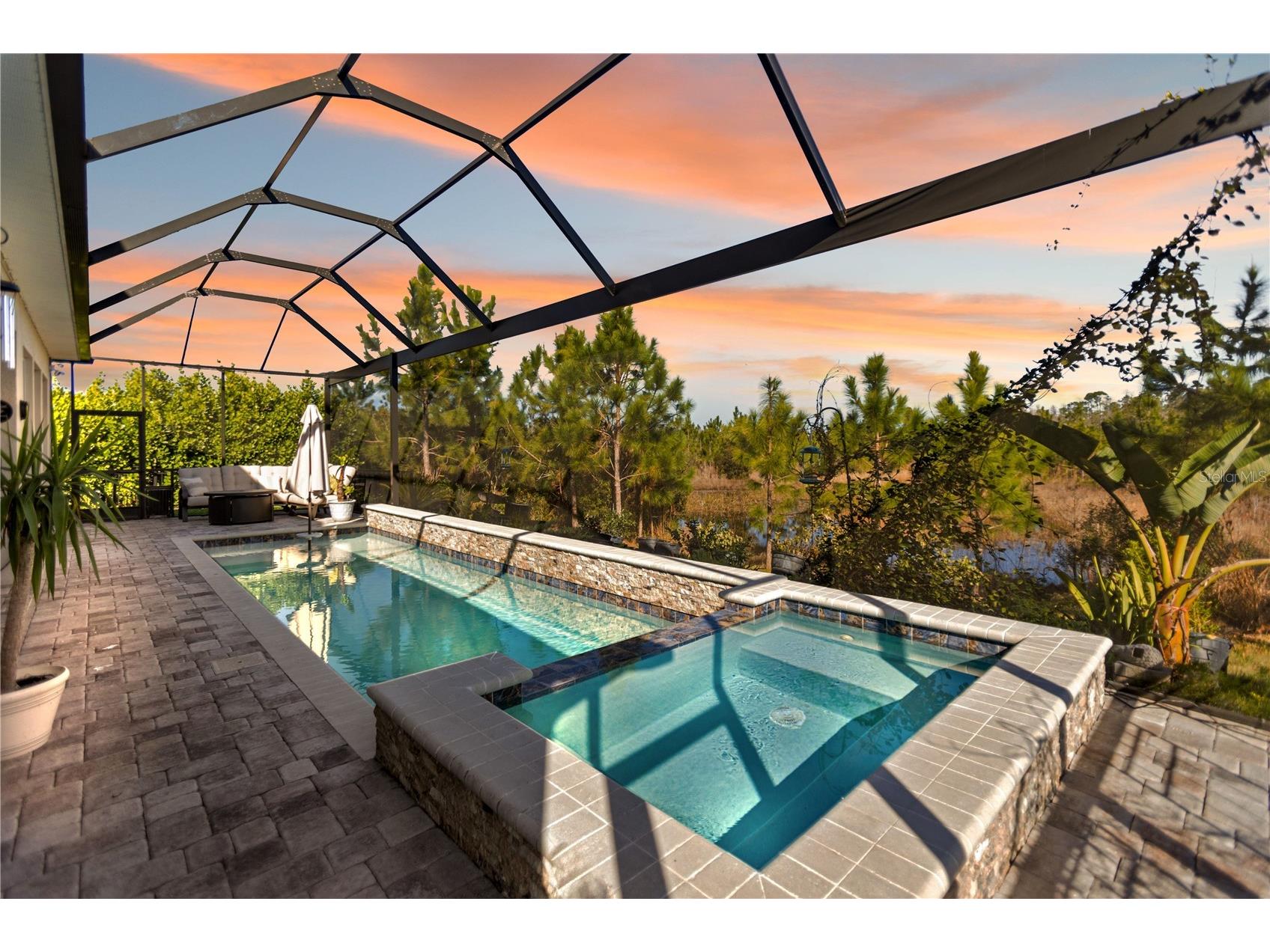 4289 Tour Trace Land O Lakes FL 34638 TB8469522 image4