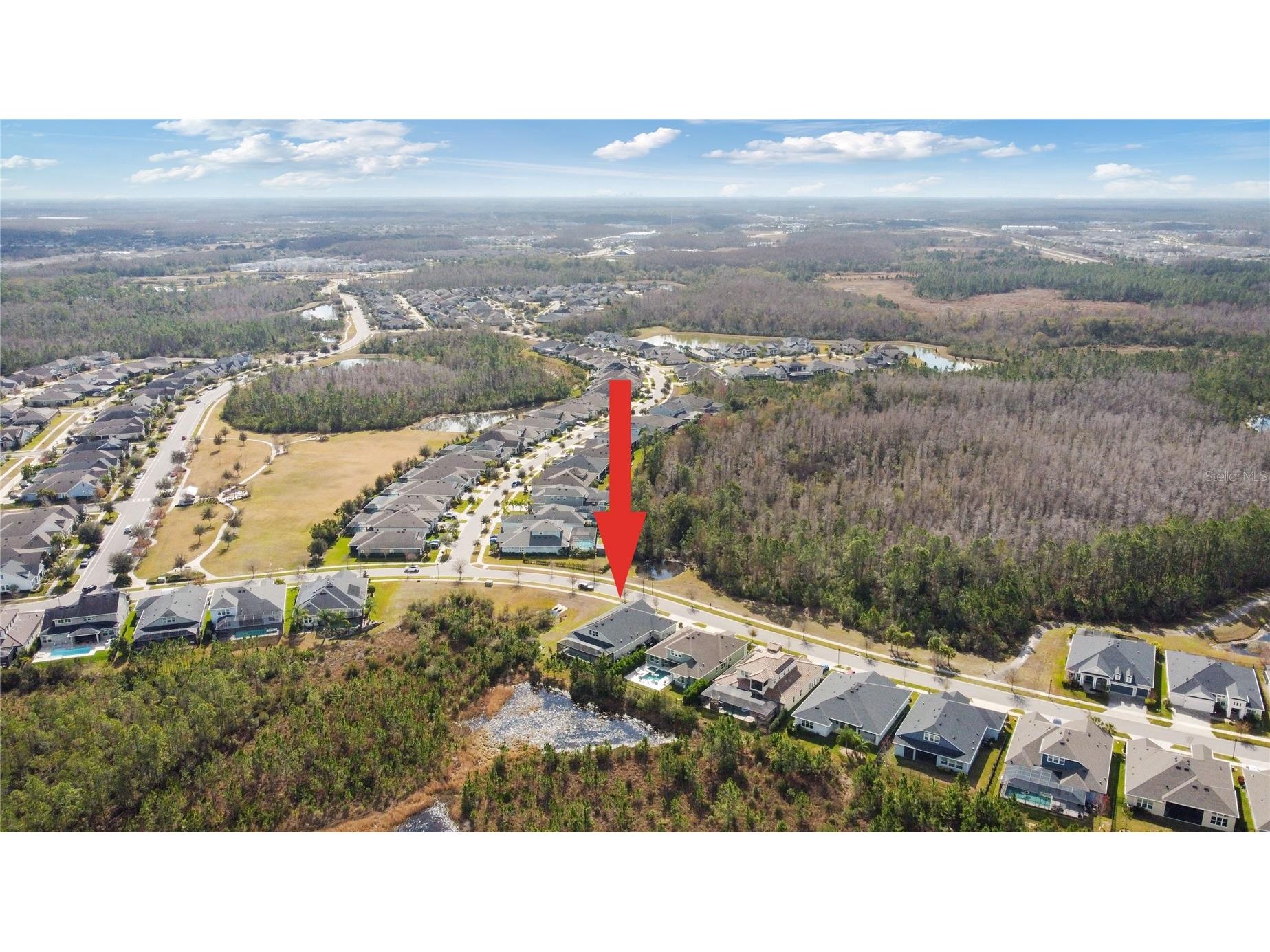 4289 Tour Trace Land O Lakes FL 34638 TB8469522 image41