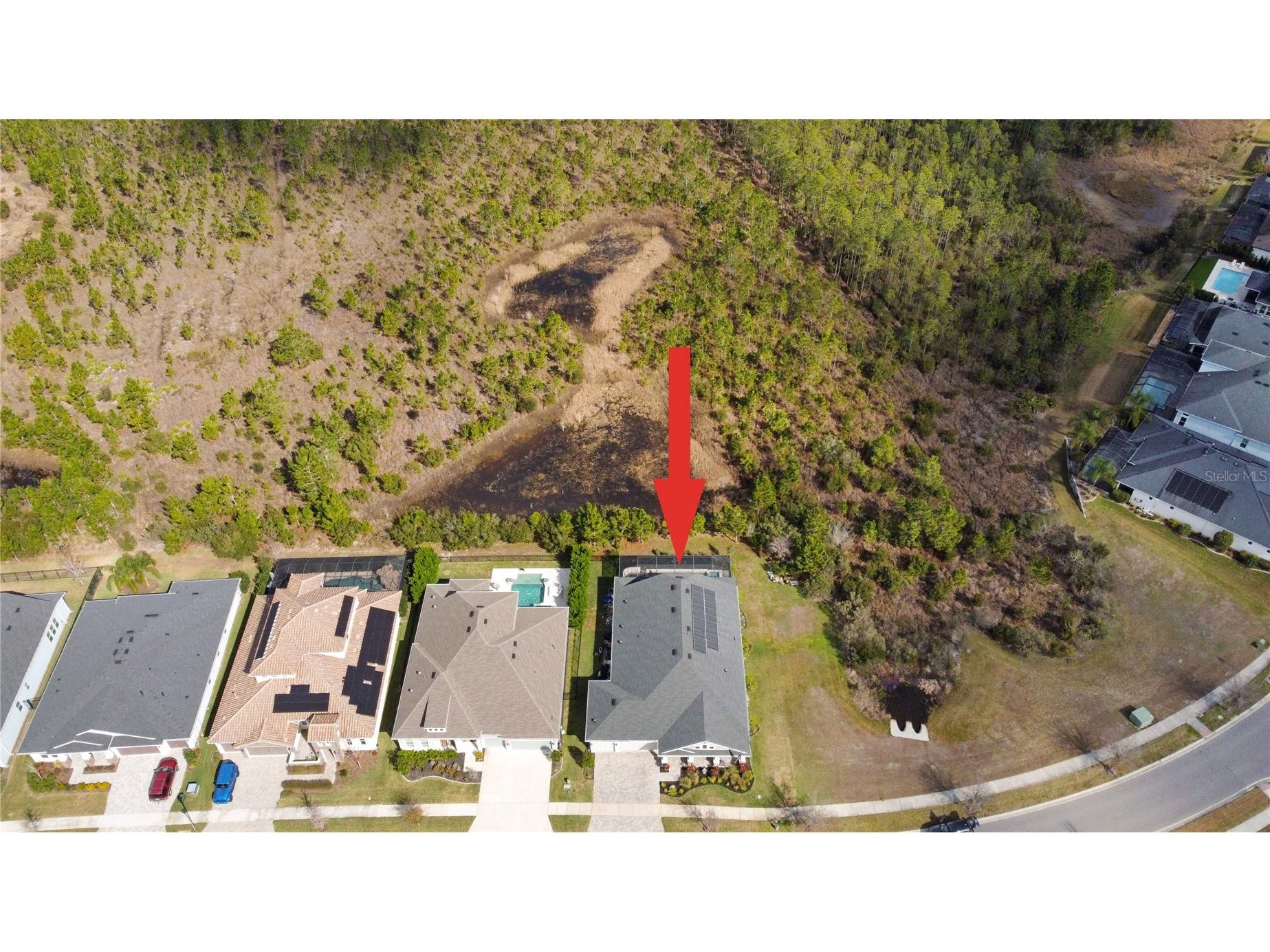 4289 Tour Trace Land O Lakes FL 34638 TB8469522 image43