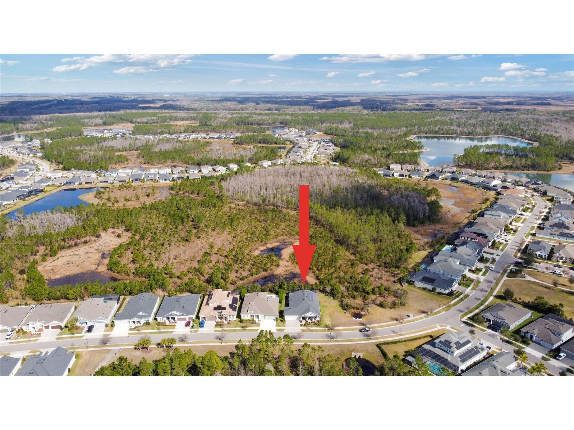 4289 Tour Trace Land O Lakes FL 34638 TB8469522 image44