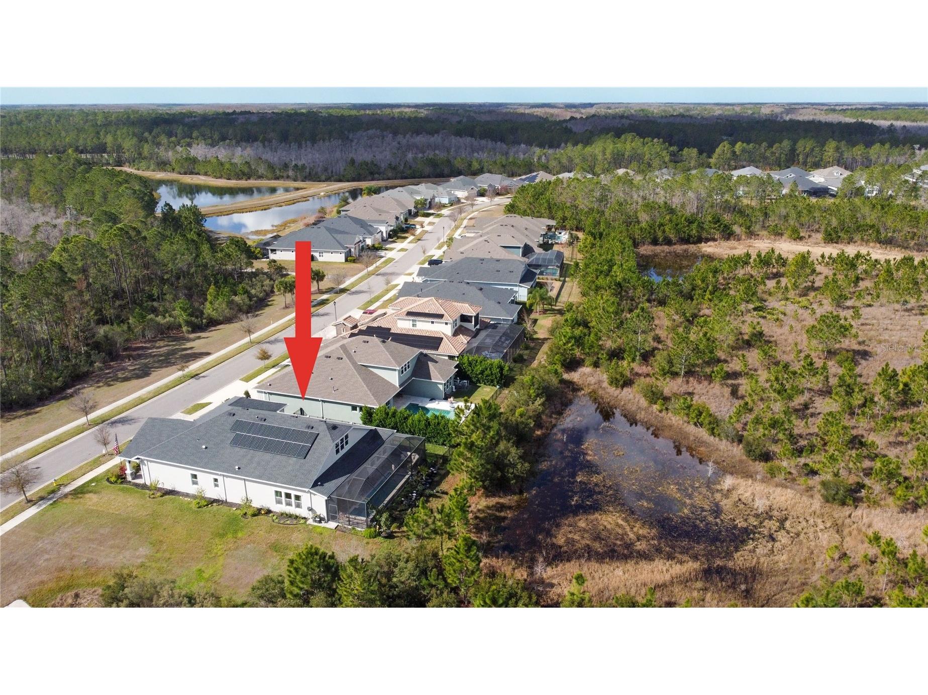 4289 Tour Trace Land O Lakes FL 34638 TB8469522 image45