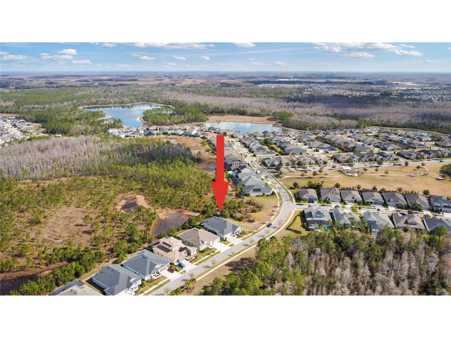 4289 Tour Trace Land O Lakes FL 34638 TB8469522 image46