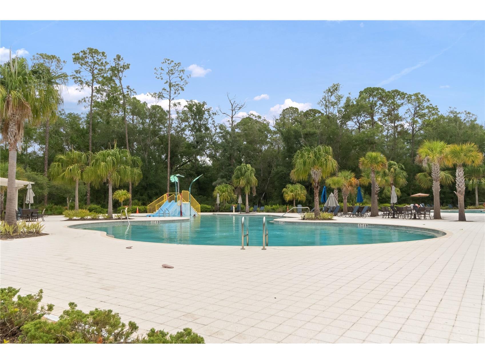 4289 Tour Trace Land O Lakes FL 34638 TB8469522 image56