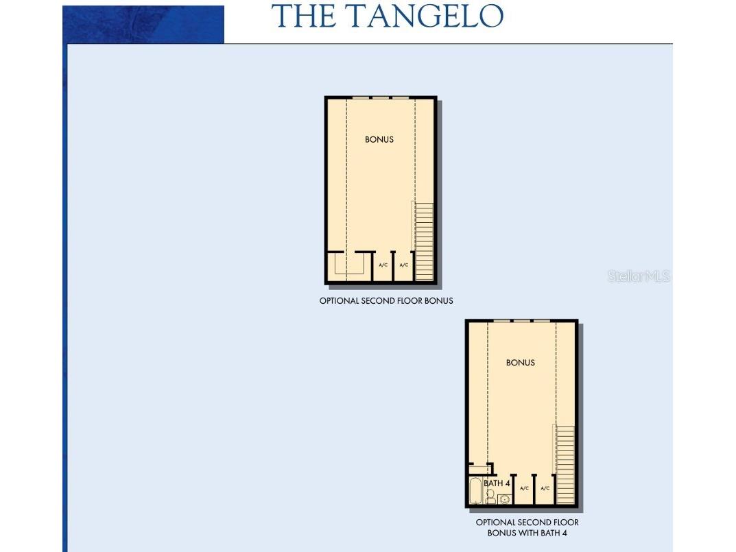 4289 Tour Trace Land O Lakes FL 34638 TB8469522 image6
