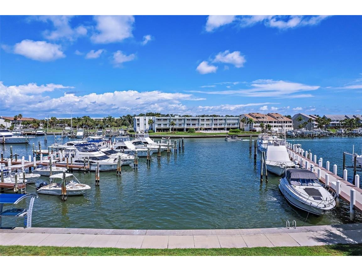 429 3rd Avenue N Tierra Verde FL 33715 U8219000 image1