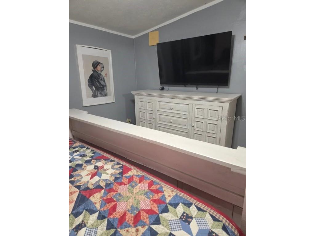 429 Heron Hollow Plant City FL 33565 TB8452088 image12