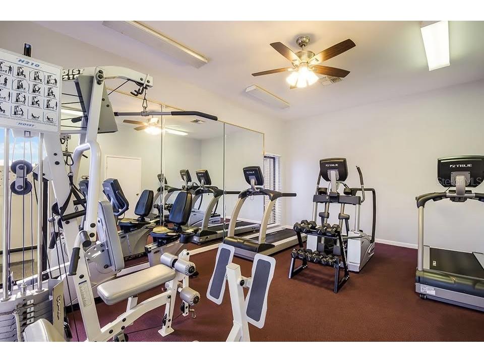 429 Heron Hollow Plant City FL 33565 TB8452088 image21