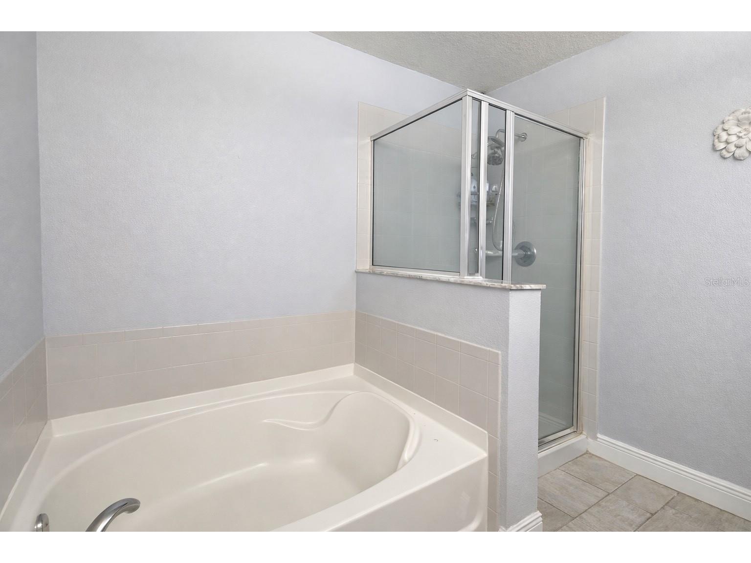 429 Janice Kay Place Kissimmee FL 34744 S5145448 image14