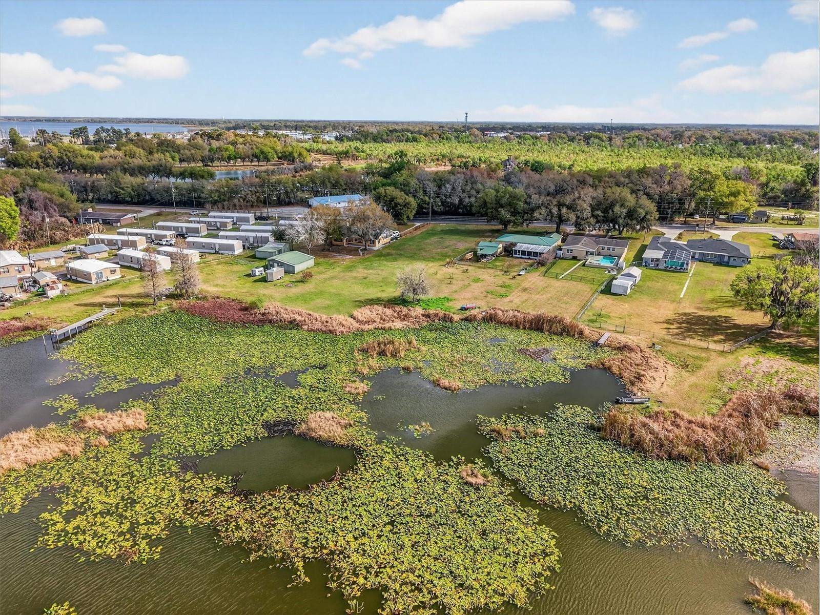 429 Longfellow Boulevard Lakeland FL 33801 - LAKE BONNY O6388563 image20