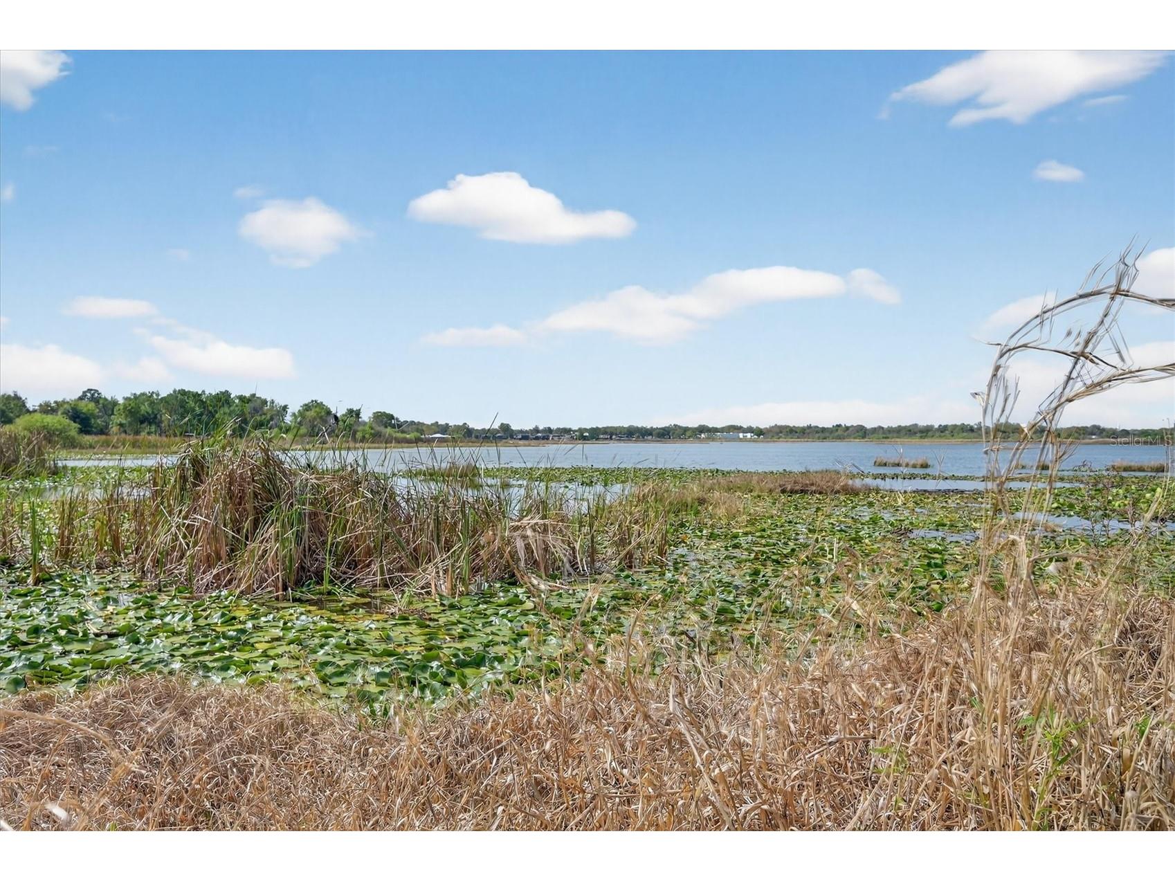 429 Longfellow Boulevard Lakeland FL 33801 - LAKE BONNY O6388563 image8