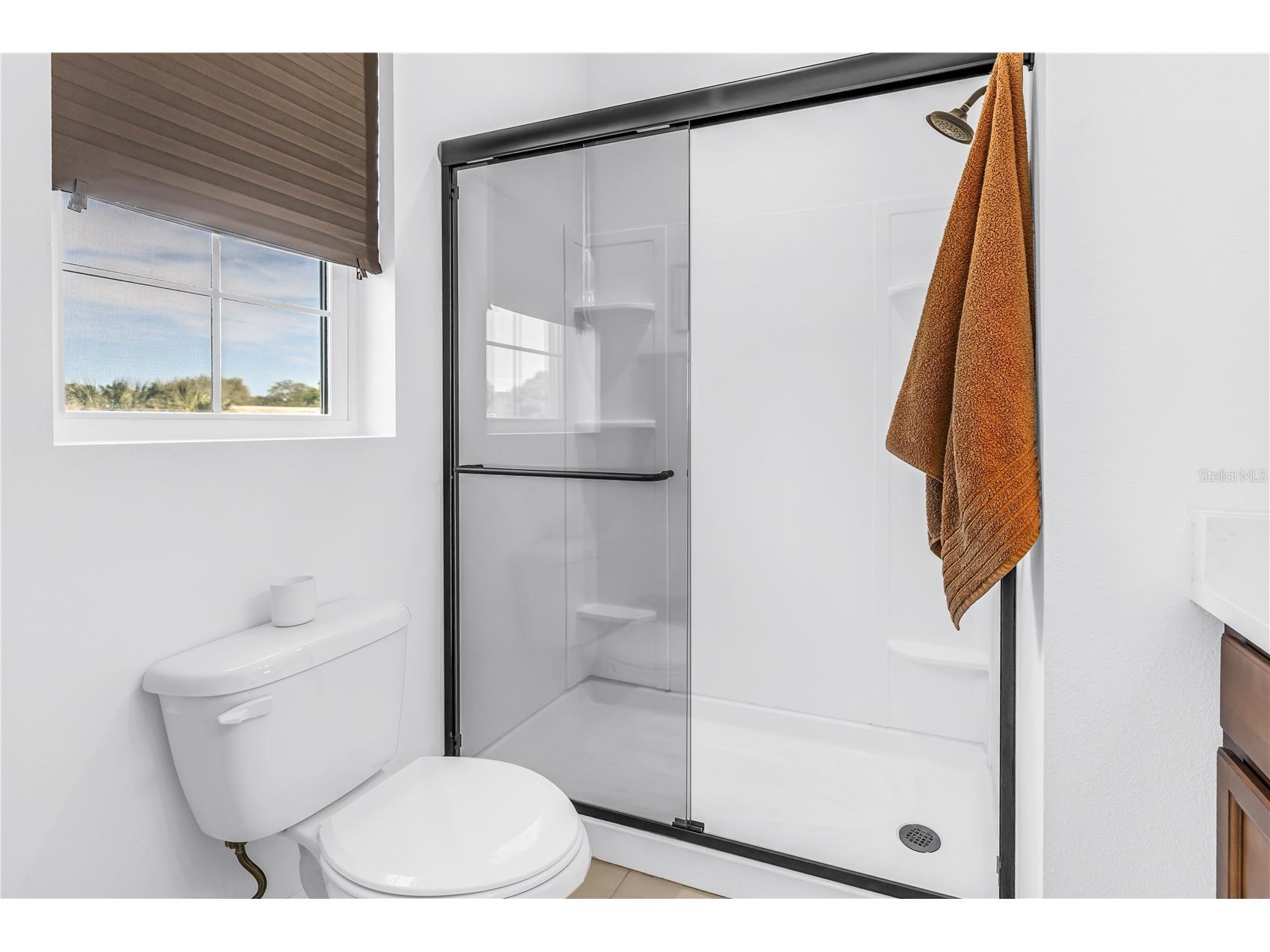 429 Lorraine Leland Street Dunedin FL 34698 TB8487461 image22