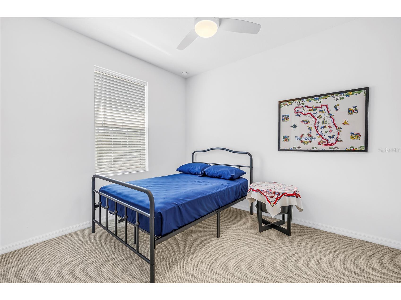 429 Lorraine Leland Street Dunedin FL 34698 TB8487461 image23