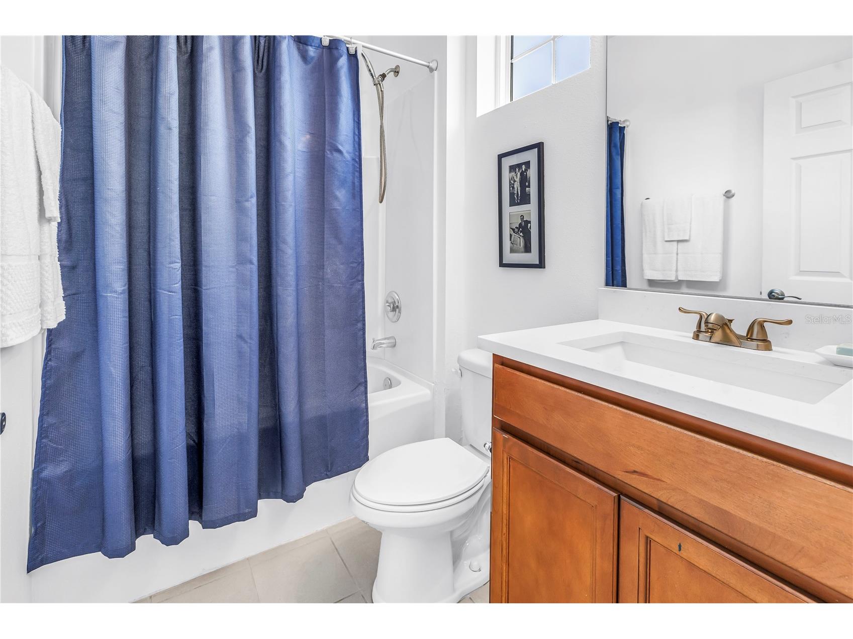 429 Lorraine Leland Street Dunedin FL 34698 TB8487461 image26