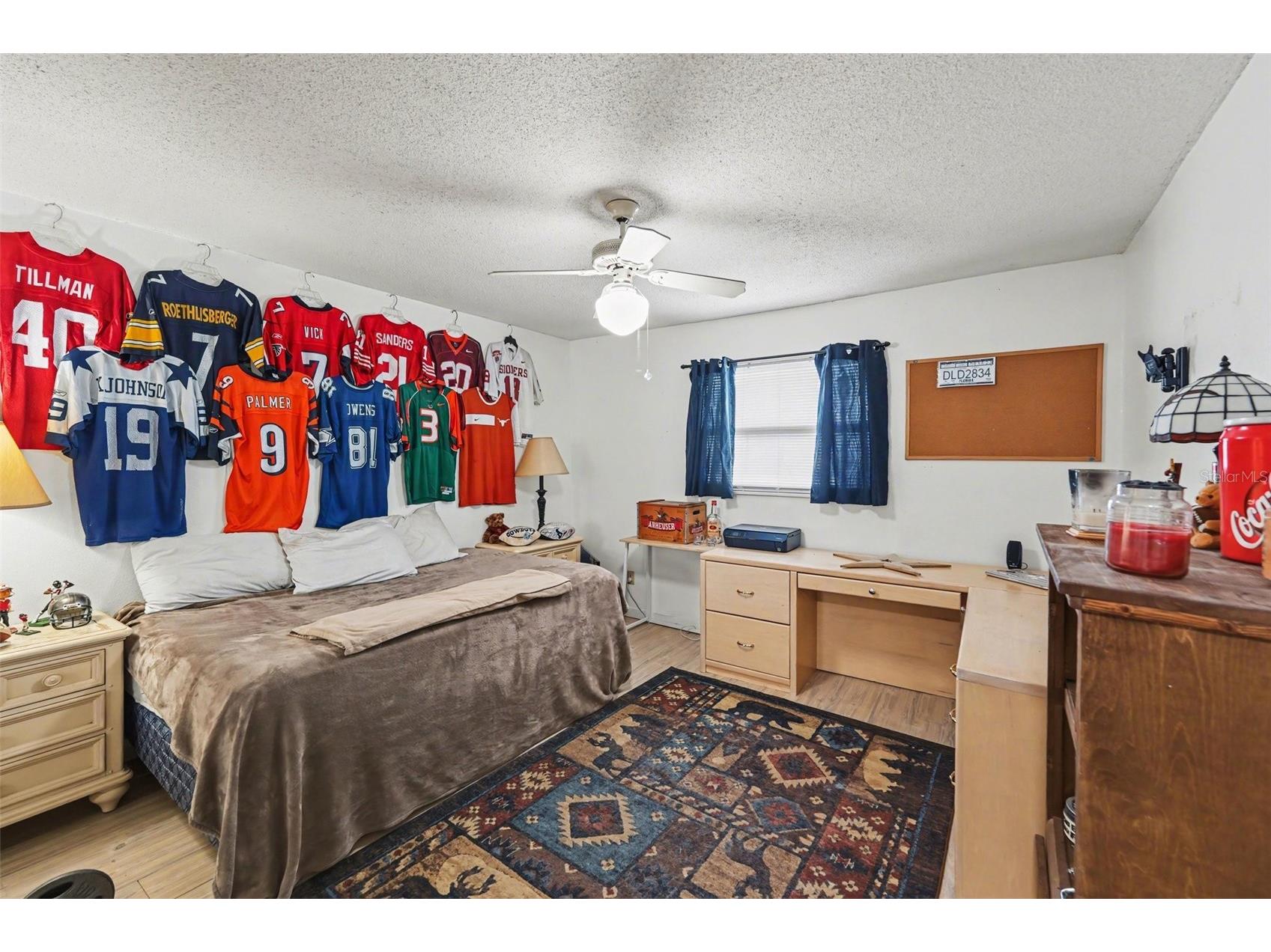 429 Manor Boulevard Palm Harbor FL 34683 TB8501415 image18
