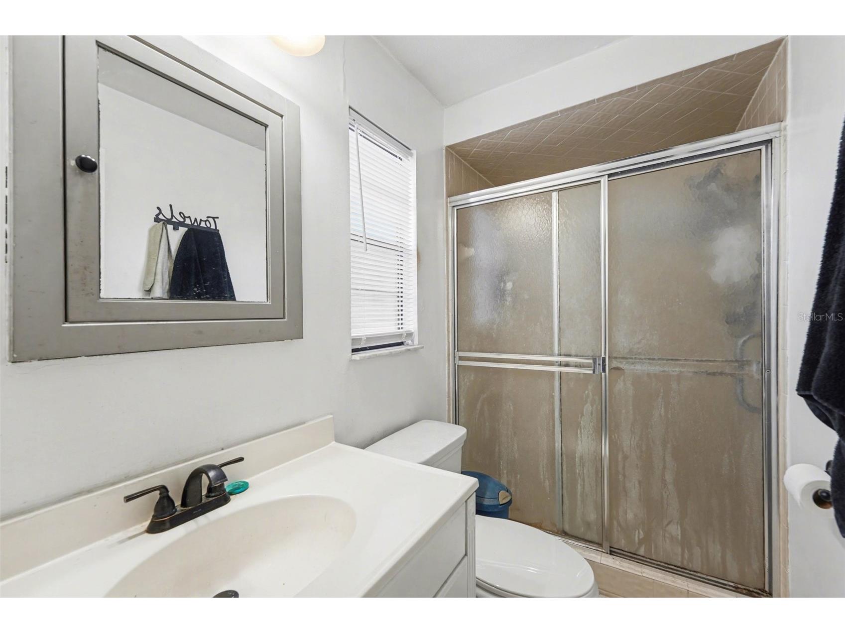 429 Manor Boulevard Palm Harbor FL 34683 TB8501415 image20