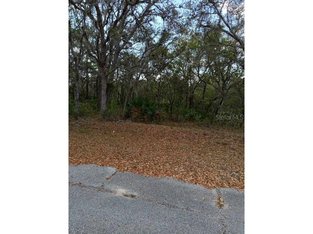 429 Naples Court Kissimmee FL 34759 S5106595 image2