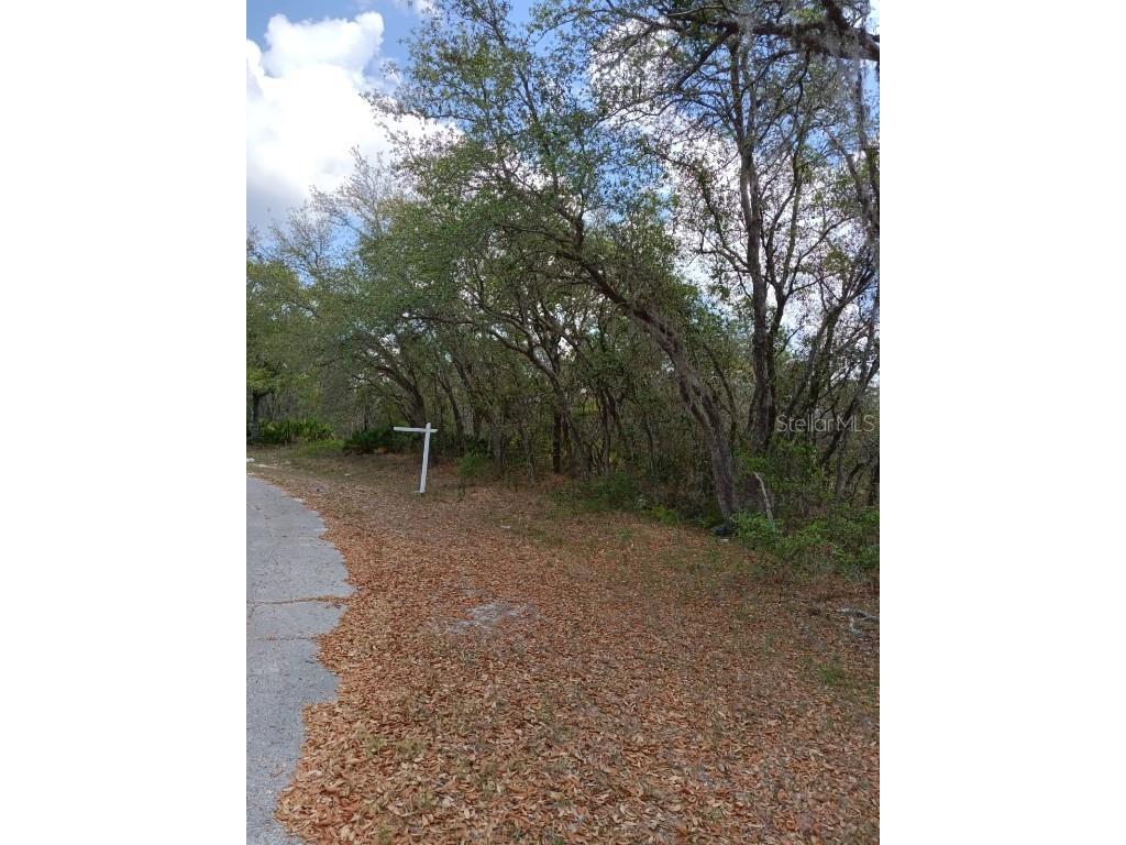 429 Naples Court Kissimmee FL 34759 S5106595 image3