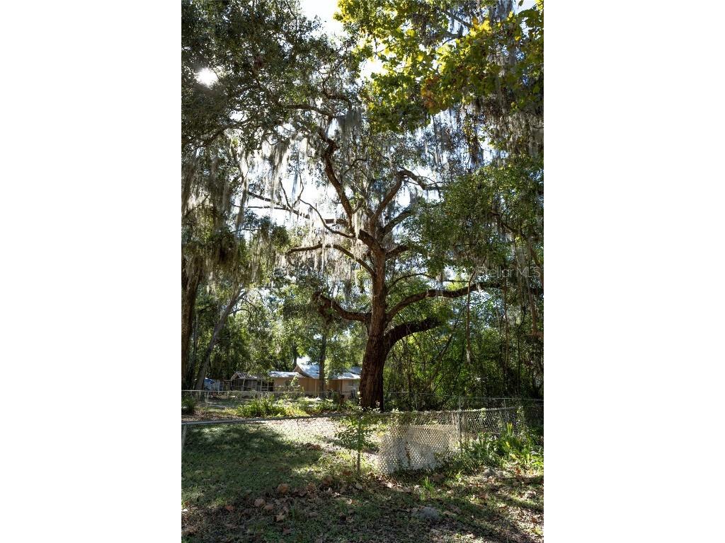 429 SE 1st Avenue Williston FL 32696 OM713296 image41