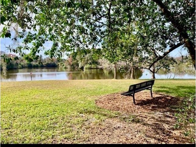 429 Sheoah Boulevard #9 Winter Springs FL 32708 O6396362 image18