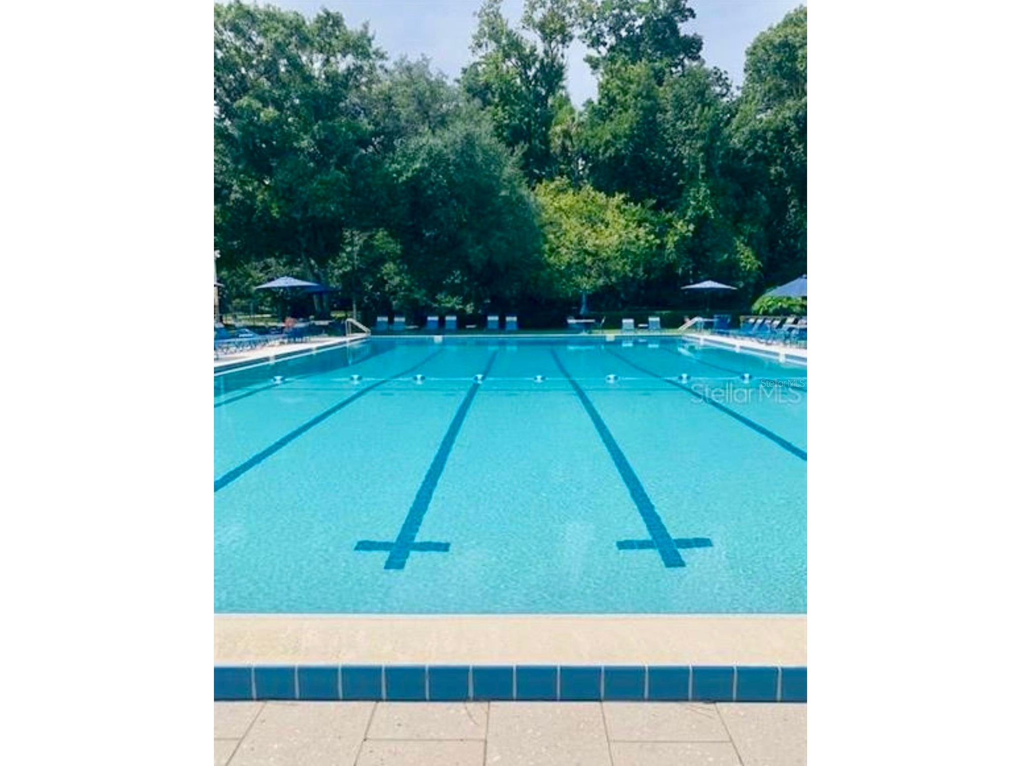 429 Sheoah Boulevard #9 Winter Springs FL 32708 O6396362 image24