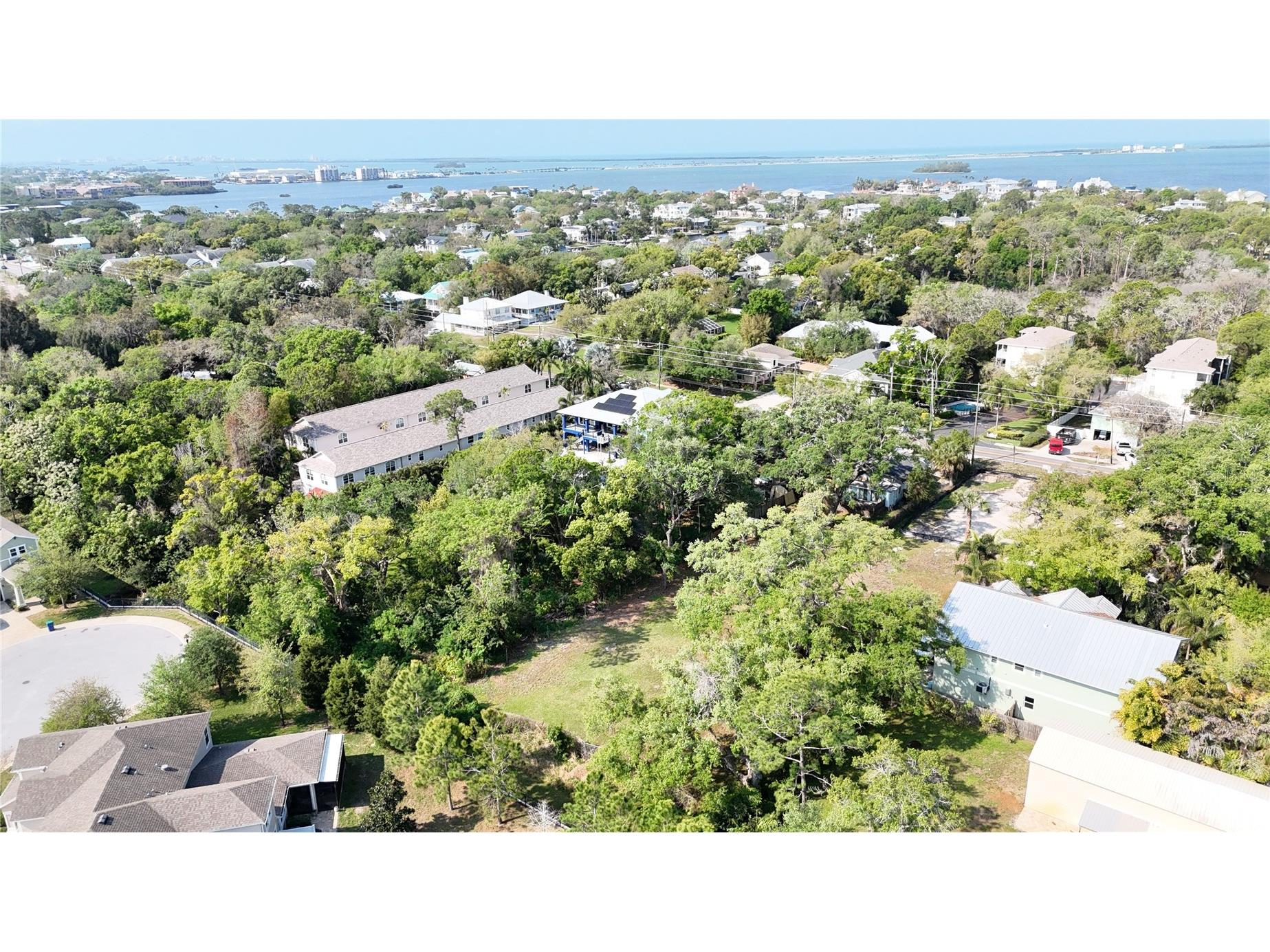 429 St Louis Avenue Palm Harbor FL 34683 TB8490520 image11