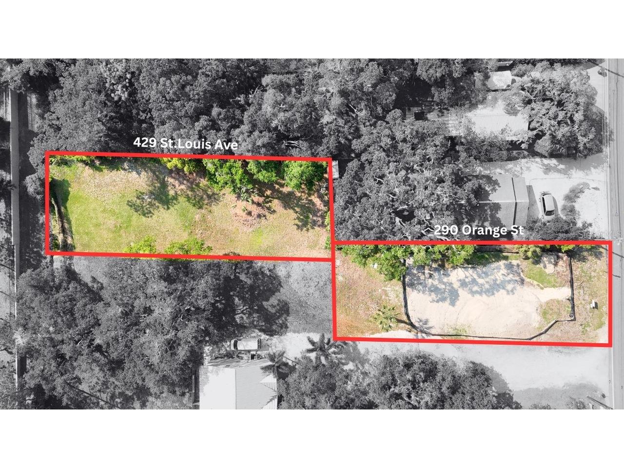 429 St Louis Avenue Palm Harbor FL 34683 TB8490520 image12