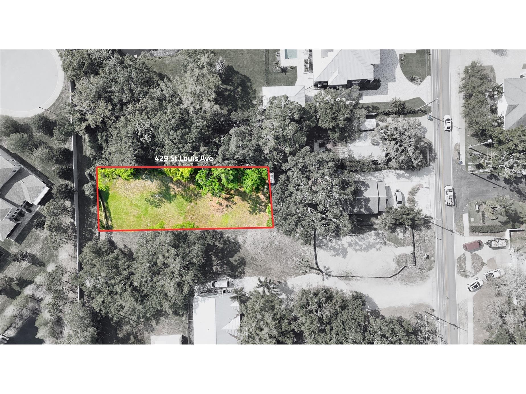 429 St Louis Avenue Palm Harbor FL 34683 TB8490520 image3