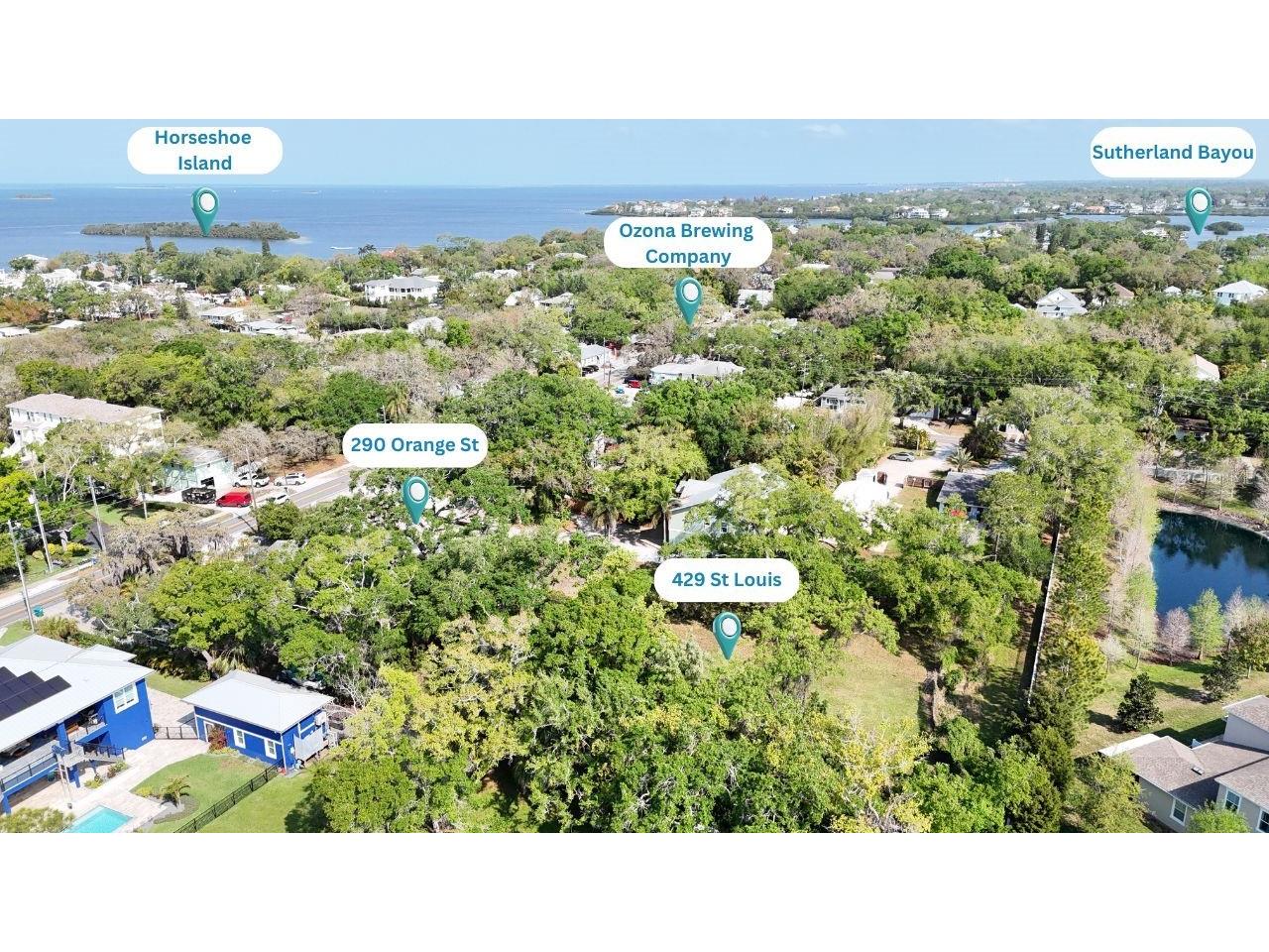 429 St Louis Avenue Palm Harbor FL 34683 TB8490520 image4