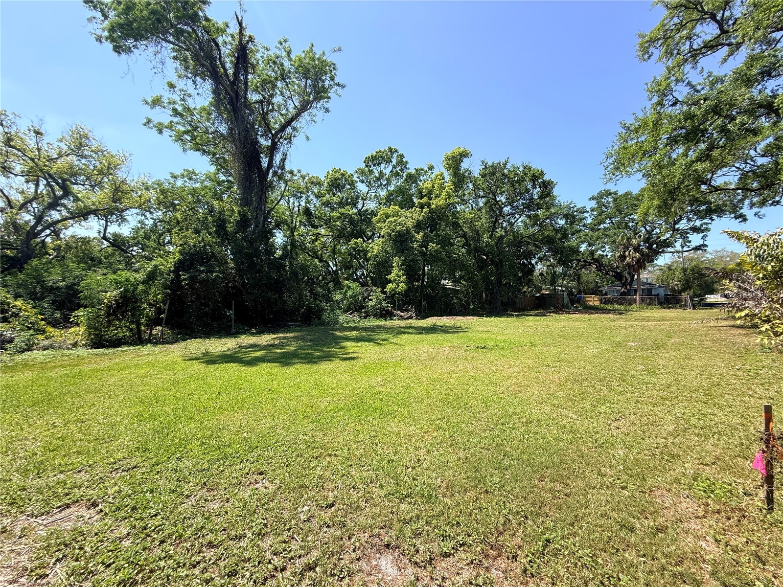 429 St Louis Avenue Palm Harbor FL 34683 TB8490520 image7