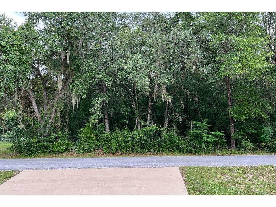 429 SW Shorewood Drive Dunnellon FL 34431 - BONABLE LAKE U8188229 image1