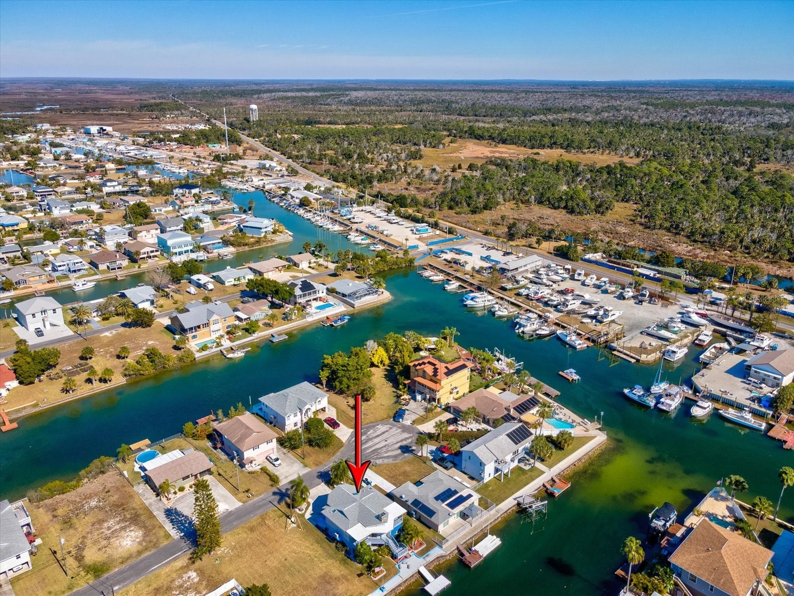 4290 Carlos Court Weeki Wachee FL 34607 W7882666 image62
