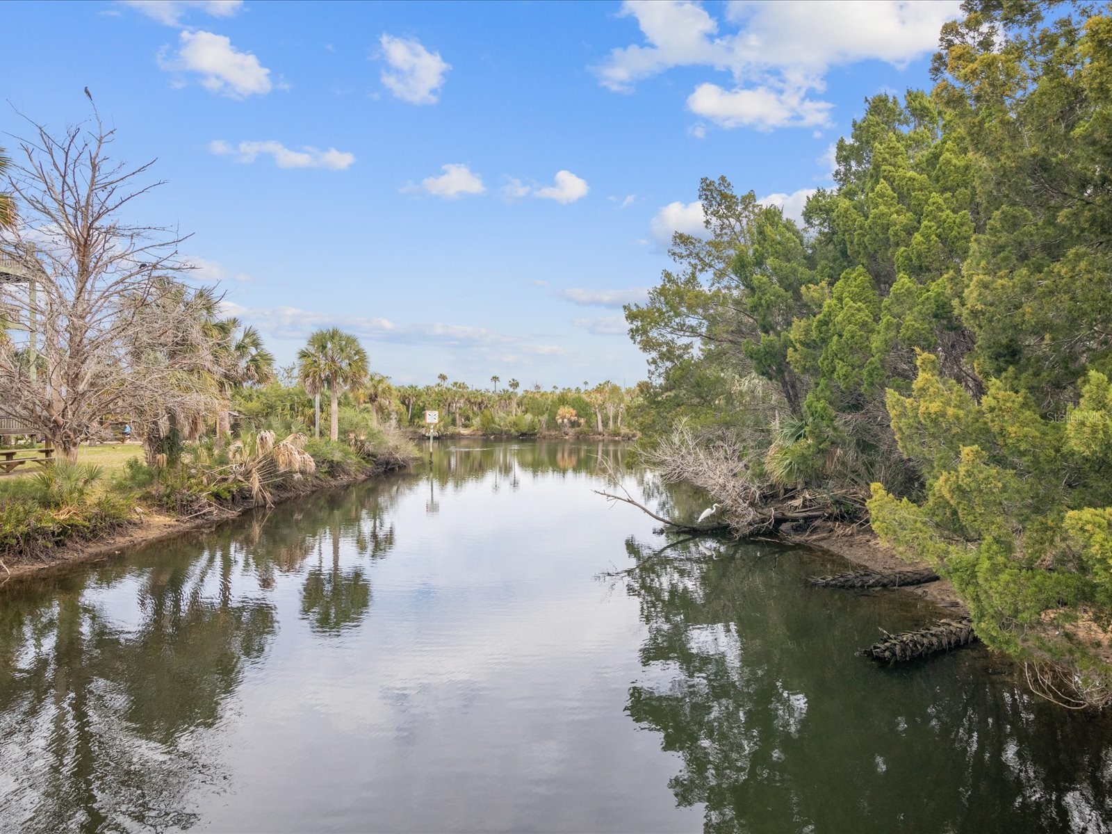 4290 Carlos Court Weeki Wachee FL 34607 W7882666 image74