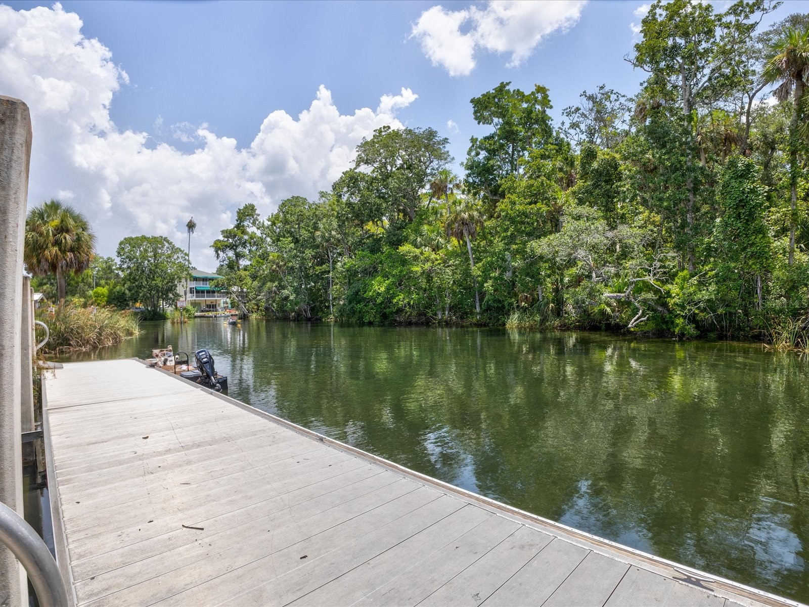4290 Carlos Court Weeki Wachee FL 34607 W7882666 image86