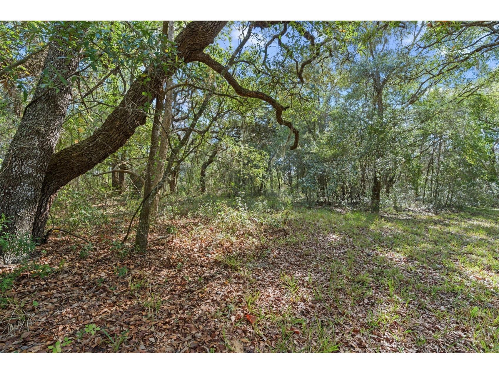 4290 W Norvell Bryant Highway Crystal River FL 34429 OM716485 image4