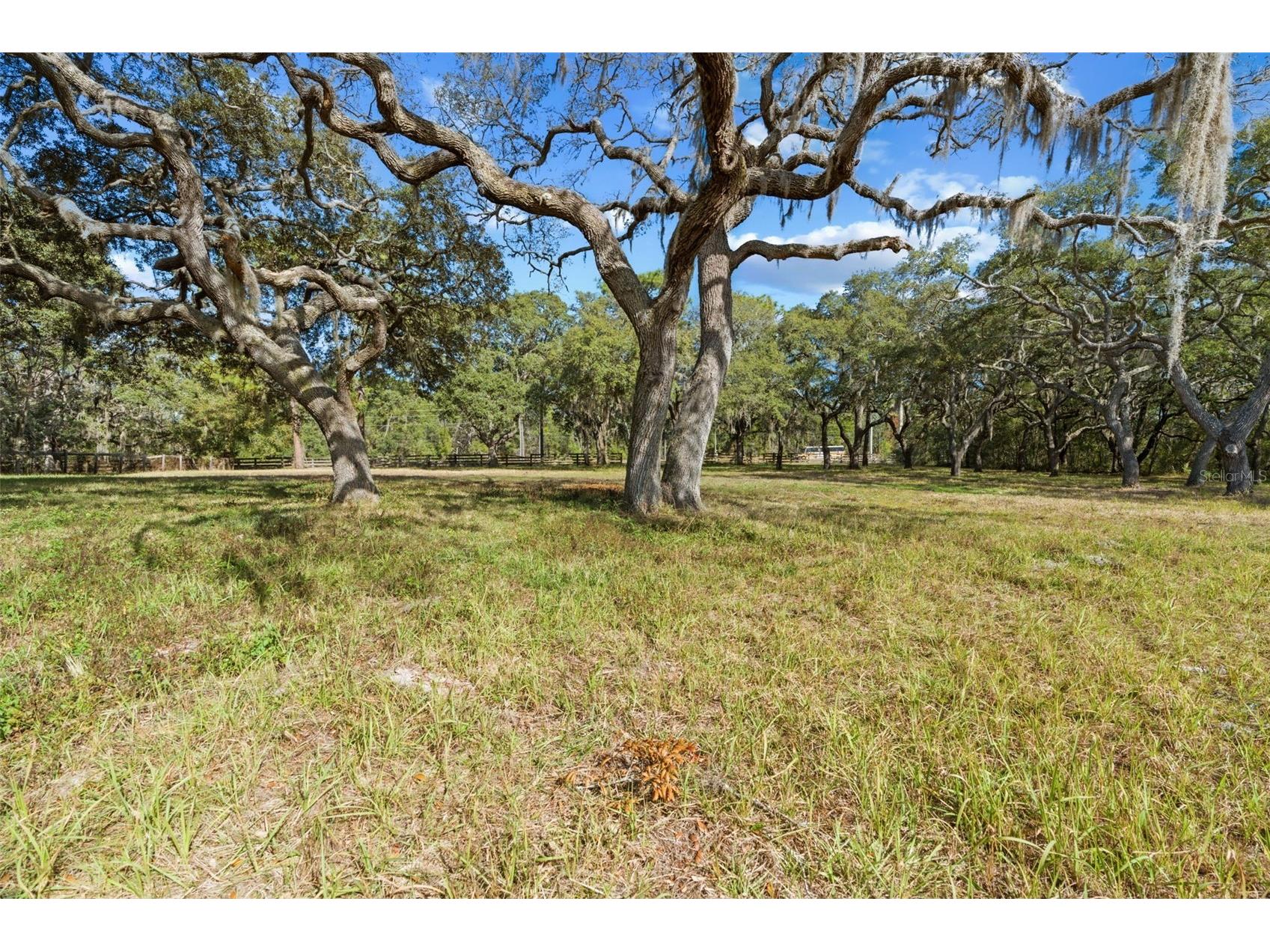 4290 W Norvell Bryant Highway Crystal River FL 34429 OM716485 image9