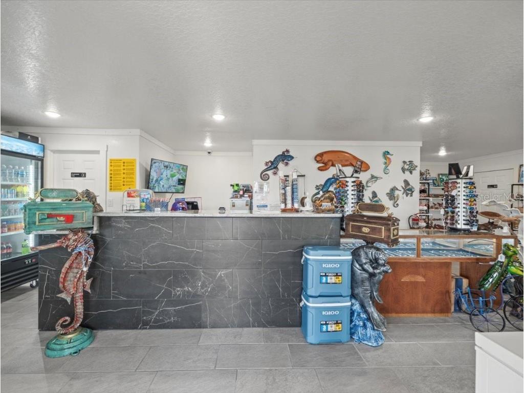 4291 Shoal Line Boulevard #102 Spring Hill FL 34607 - SNAPPER-TARPON-GULF W7876240 image11