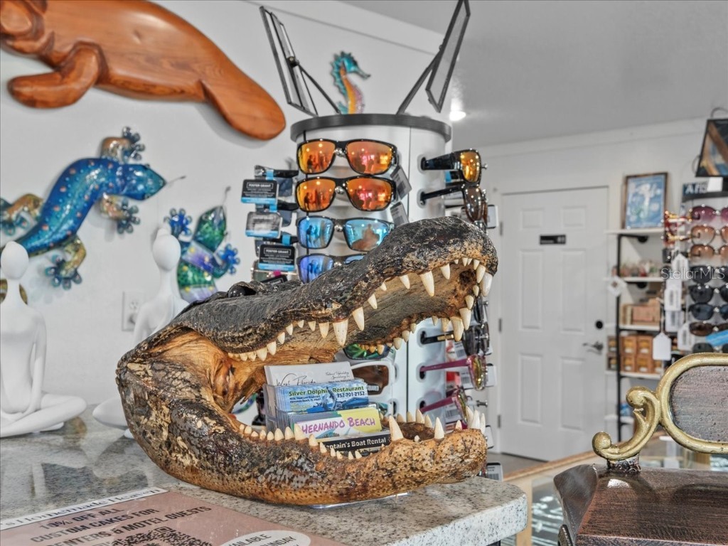 4291 Shoal Line Boulevard #102 Spring Hill FL 34607 - SNAPPER-TARPON-GULF W7876240 image13