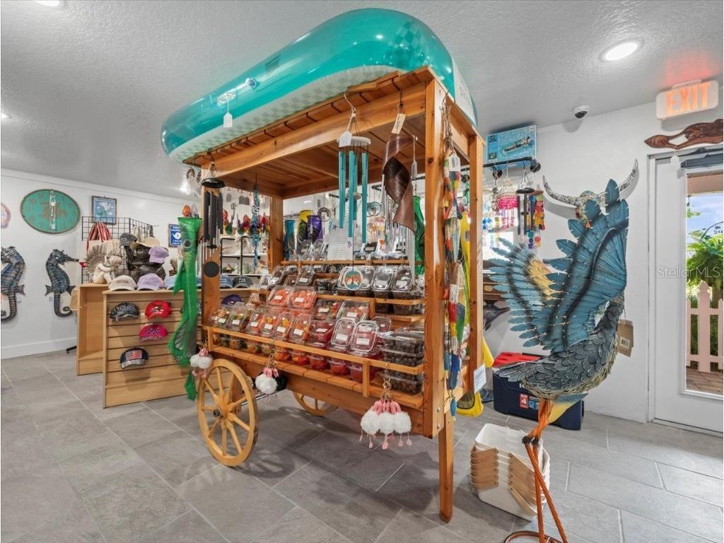 4291 Shoal Line Boulevard #102 Spring Hill FL 34607 - SNAPPER-TARPON-GULF W7876240 image16