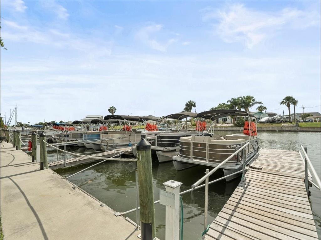 4291 Shoal Line Boulevard #102 Spring Hill FL 34607 - SNAPPER-TARPON-GULF W7876240 image80